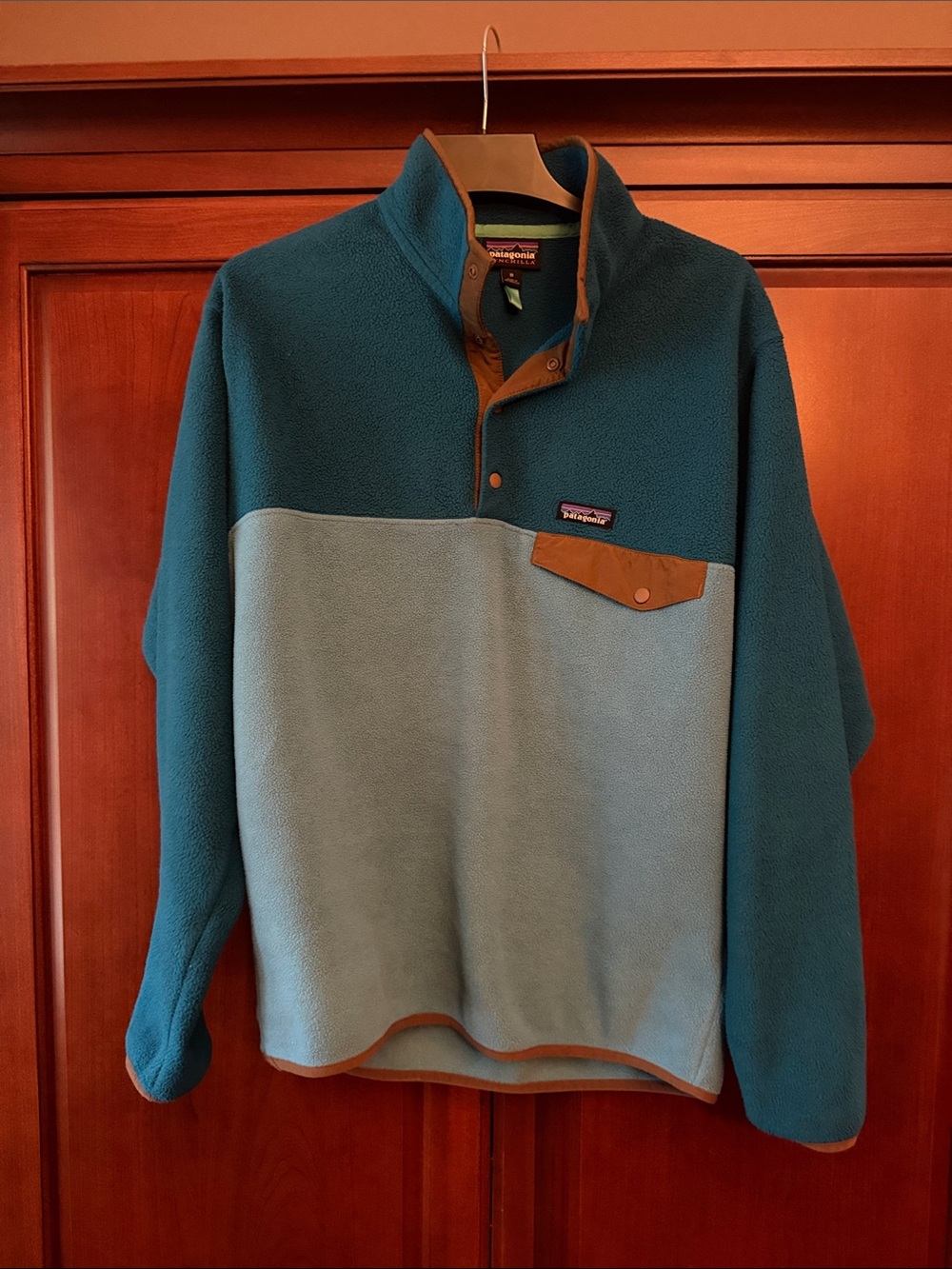 Patagonia Men's Two-Tone Teal and Light Teal Fleece Snap Pullover